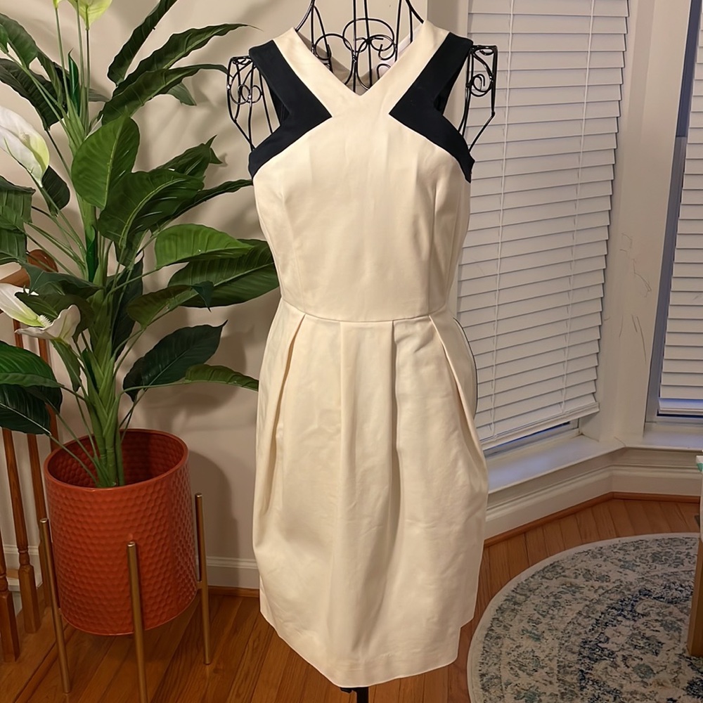 Abaete Black and White Dress